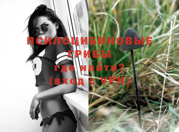 PSILOCYBIN Нефтекумск