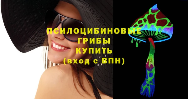 PSILOCYBIN Нефтекумск