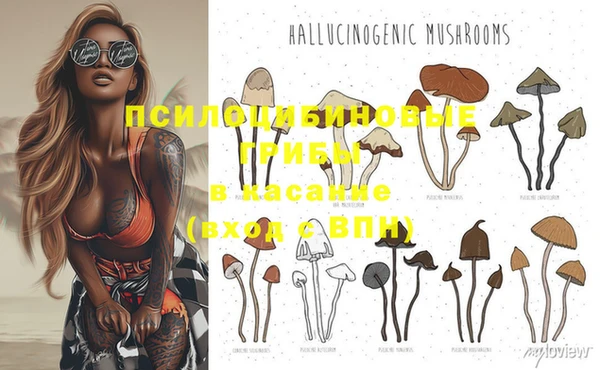 PSILOCYBIN Нефтекумск