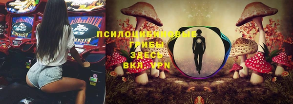 PSILOCYBIN Нефтекумск