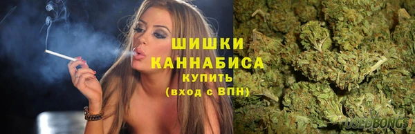 PSILOCYBIN Нефтекумск