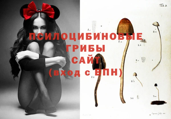 мескалин Нея